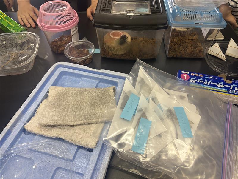 プラスチック容器に入ったお菓子 AI 生成コンテンツは誤りを含む可能性があります。